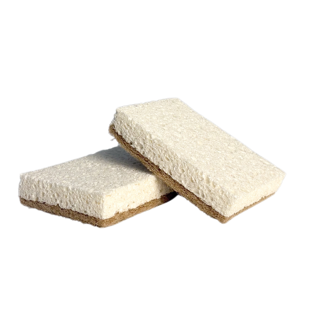 bluu spongeblub – éponges anti-rayures